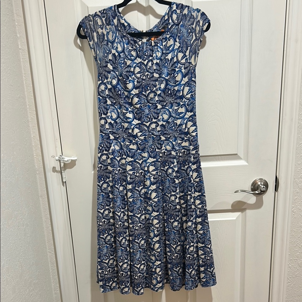 Elegant Blue and White silk Dress